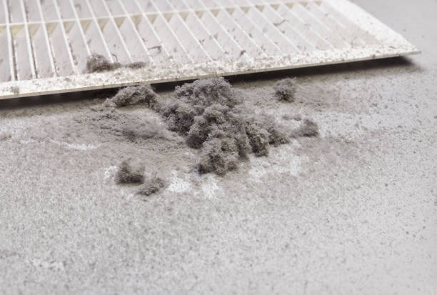 Affordable HVAC Duct Cleaning in Charlotte Hall, MD